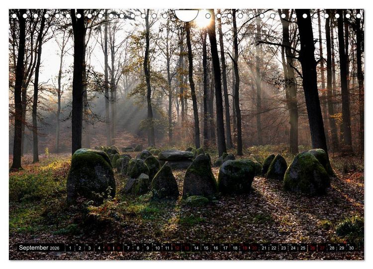 Produktbild: L&uuml;neburger Heide (Wandkalender 2026 DIN A4 quer), CALVENDO Monatskalender
