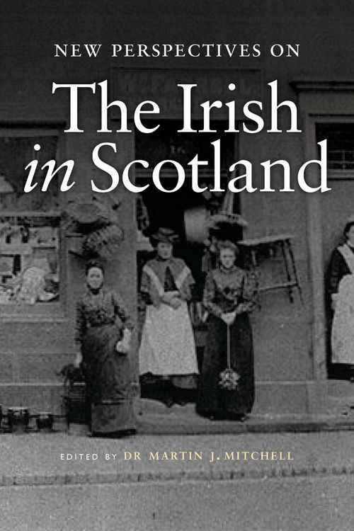 Produktbild: New Perspectives on the Irish in Scotland