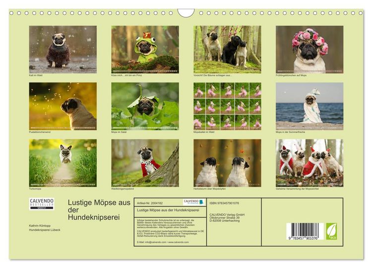 Produktbild: Lustige M&ouml;pse aus der Hundeknipserei (Wandkalender 2026 DIN A3 quer), CALVENDO Monatskalender