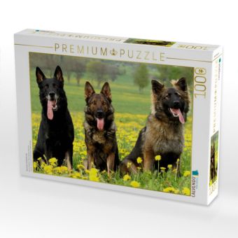 Produktbild: CALVENDO Puzzle Deutsche Sch&auml;ferhunde | 1000 Teile Lege-Gr&ouml;&szlig;e 64x48cm Foto-Puzzle f&uuml;r gl&uuml;ckliche Stunden