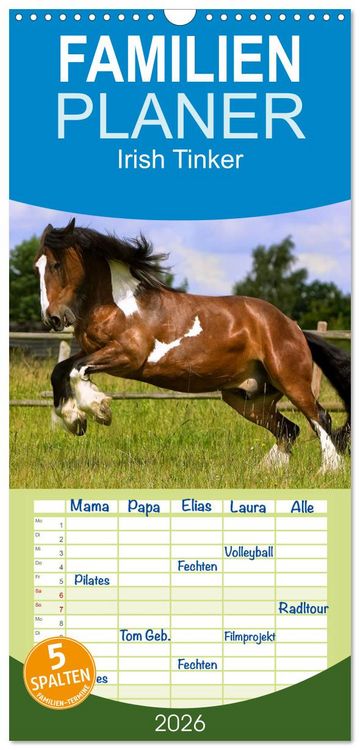 Produktbild: Familienplaner 2026 - Irish Tinker mit 5 Spalten (Wandkalender, 21 x 45 cm) CALVENDO