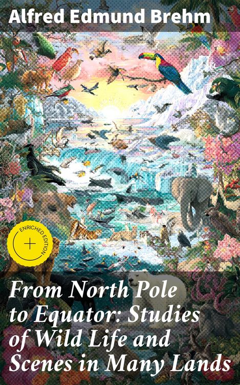Produktbild: From North Pole to Equator: Studies of Wild Life and Scenes in Many Lands