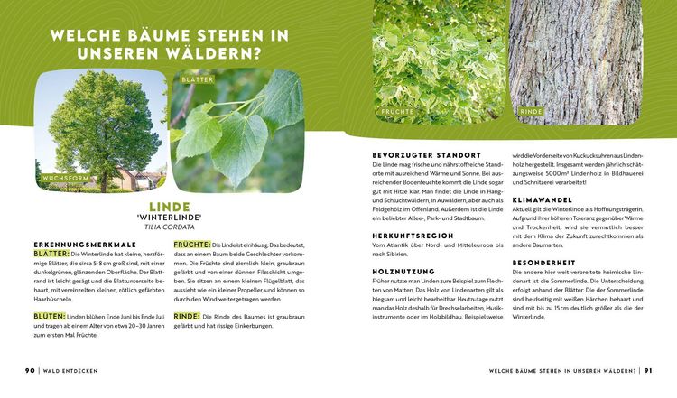 Produktbild: Forst erkl&auml;rt: Warum wir den Wald brauchen &ndash; und er uns