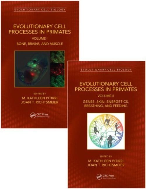 Produktbild: Evolutionary Cell Processes in Primates