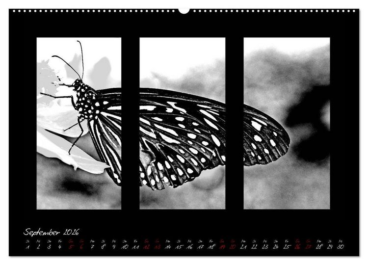 Produktbild: Die Kunst der Natur - Dreifach Stilvoll (Wandkalender 2026 DIN A2 quer), CALVENDO Monatskalender