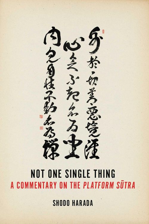 Produktbild: Not One Single Thing