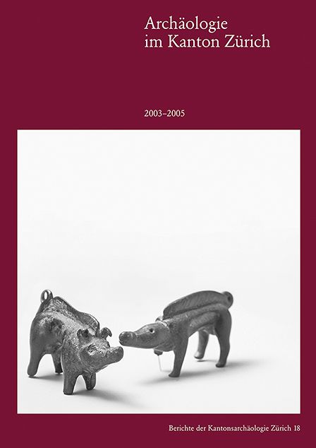 Produktbild: Arch&auml;ologie im Kanton Z&uuml;rich 2003&ndash;2005