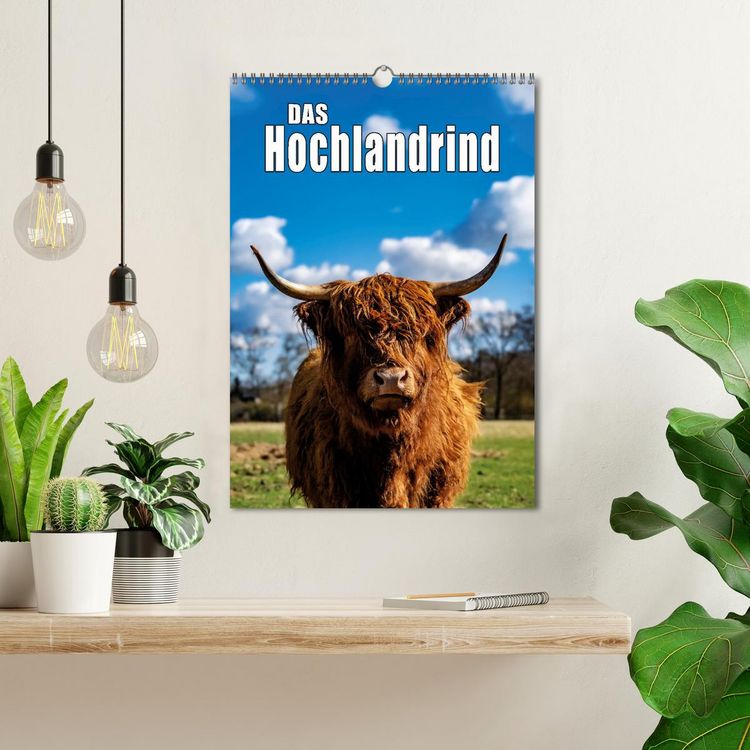 Produktbild: Das Hochlandrind im Fr&uuml;hjahr (Wandkalender 2026 DIN A3 hoch), CALVENDO Monatskalender