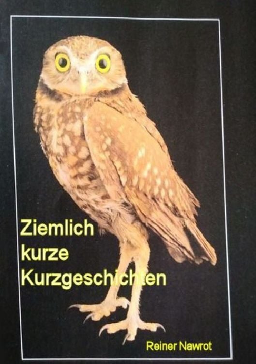 Produktbild: Ziemlich kurze Kurzgeschichten