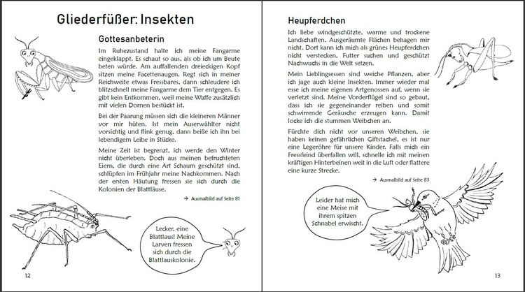 Produktbild: Ausmalspa&szlig; + Wissen: Fantatiere - Malbuch ab 6 Jahre. Artenvielfalt artgerecht erkunden f&uuml;r die ganze Familie. Empfohlen vom Naturschutzbund &Ouml;sterreich
