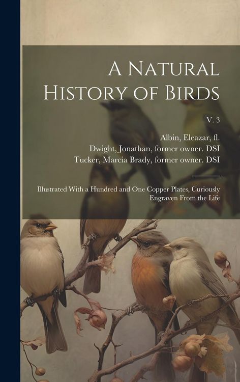 Produktbild: A Natural History of Birds