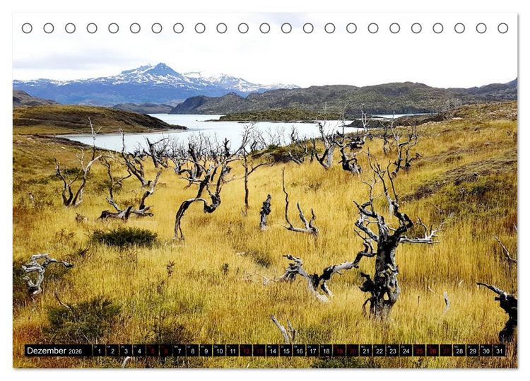 Produktbild: Patagonien - Parques Torres del Paine und Los Glaciares (Tischkalender 2026 DIN A5 quer), CALVENDO Monatskalender