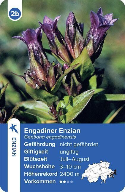 Produktbild: Flora Helvetica &ndash; das Quartett-Spiel
