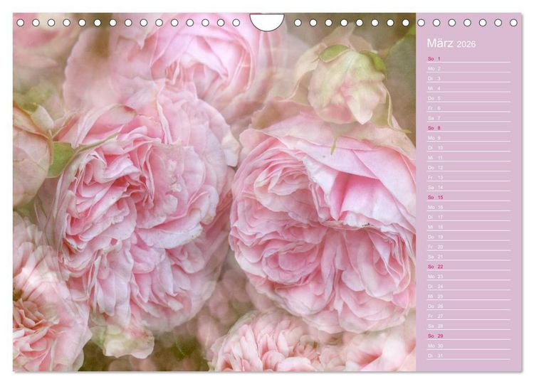 Produktbild: Romantische Rosen (Wandkalender 2026 DIN A4 quer), CALVENDO Monatskalender