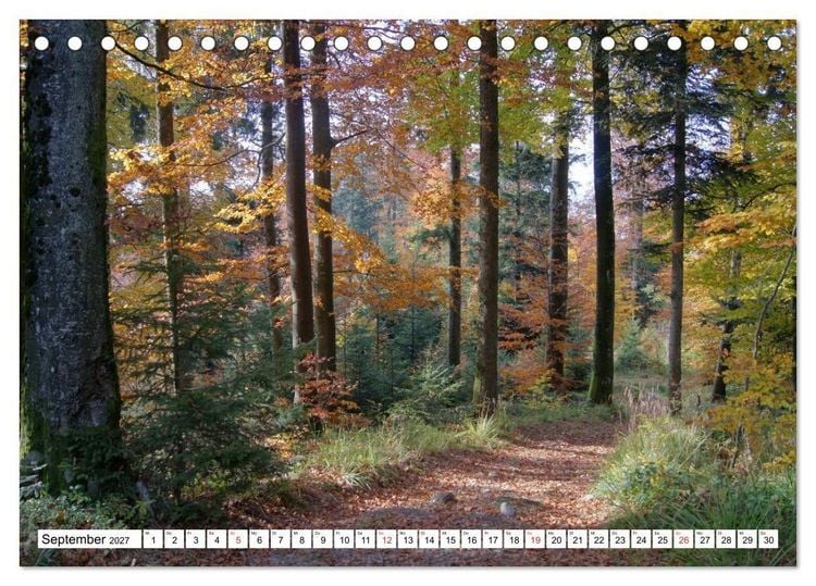 Produktbild: Unteremmental (Tischkalender 2027 DIN A5 quer), CALVENDO Monatskalender