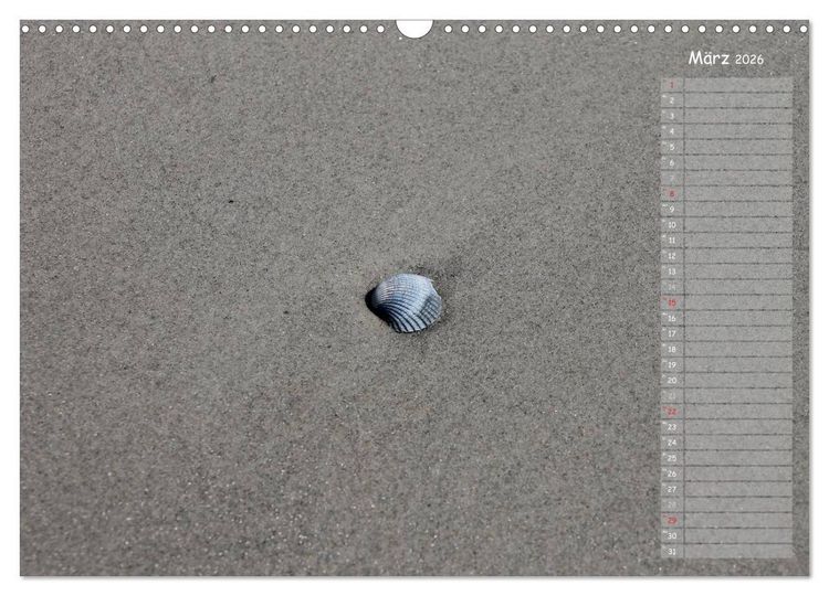 Produktbild: Strandspaziergang / Geburtstagskalender (Wandkalender 2026 DIN A3 quer), CALVENDO Monatskalender