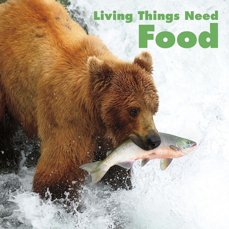 Produktbild: Living Things Need Food