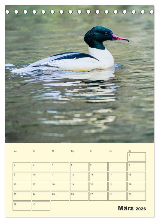 Produktbild: Vogelwelt an der Sieg (Tischkalender 2026 DIN A5 hoch), CALVENDO Monatskalender
