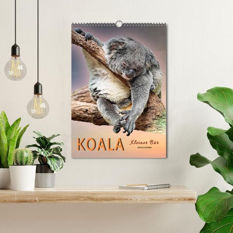 Produktbild: Koala, kleiner B&auml;r (Wandkalender 2026 DIN A3 hoch), CALVENDO Monatskalender