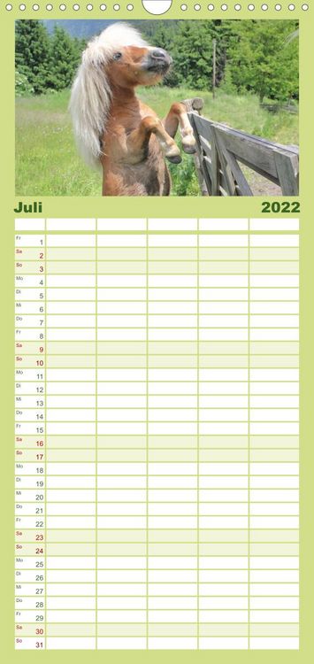 Produktbild: Familienplaner Alpenpferde (Wandkalender 2022 , 21 cm x 45 cm, hoch)