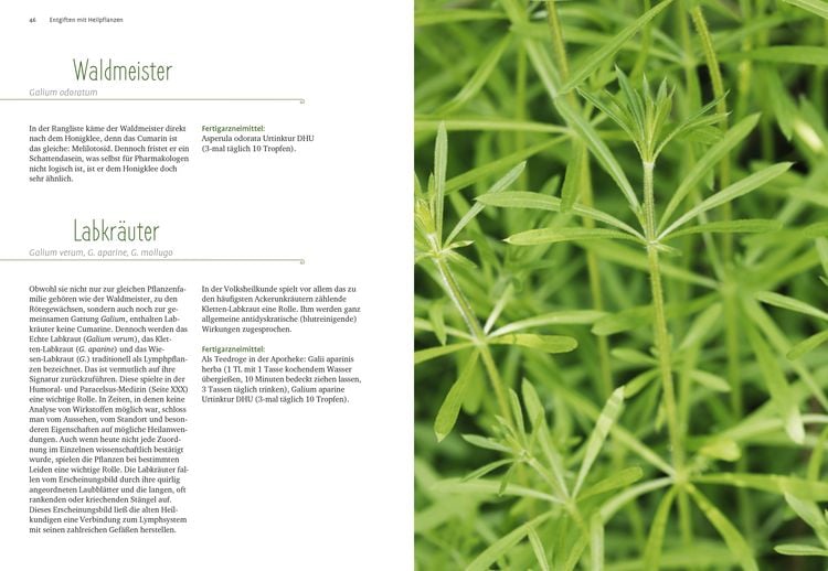 Produktbild: Entgiften mit Heilpflanzen