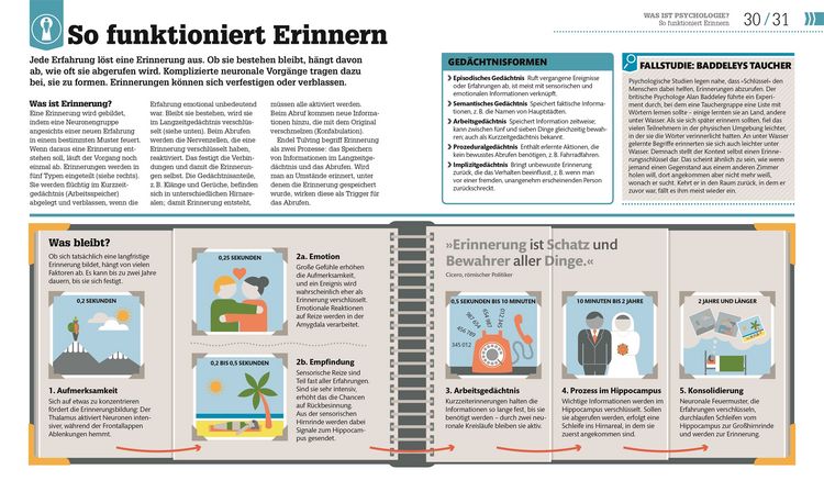 Produktbild: #dkinfografik. Psychologie im Alltag