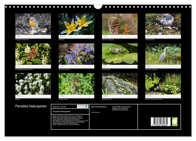 Produktbild: Paradies Naturgarten (Wandkalender 2027 DIN A3 quer), CALVENDO Monatskalender