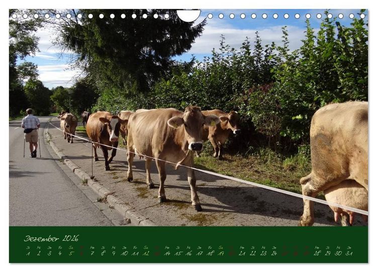 Produktbild: Im Allg&auml;u (Wandkalender 2026 DIN A4 quer), CALVENDO Monatskalender