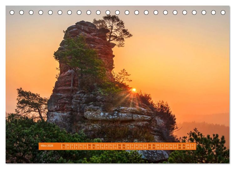 Produktbild: Magischer Pf&auml;lzer Wald (Tischkalender 2026 DIN A5 quer), CALVENDO Monatskalender