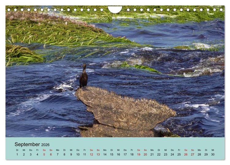 Produktbild: Venezuela - Natur pur Orinoco Delta und die Anden (Wandkalender 2026 DIN A4 quer), CALVENDO Monatskalender