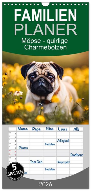 Produktbild: Familienplaner 2026 - M&ouml;pse - quirlige Charmebolzen mit 5 Spalten (Wandkalender, 21 x 45 cm) CALVENDO
