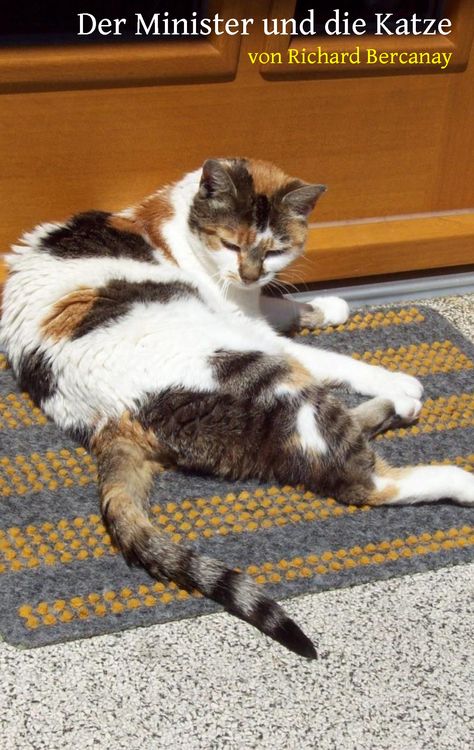 Produktbild: Der Minister und die Katze