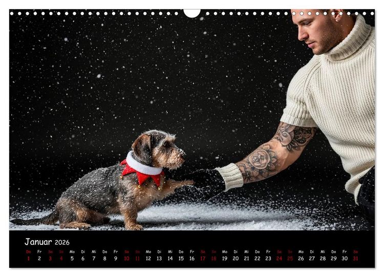 Produktbild: Coole Typen - Rauhaardackel (Wandkalender 2026 DIN A3 quer), CALVENDO Monatskalender