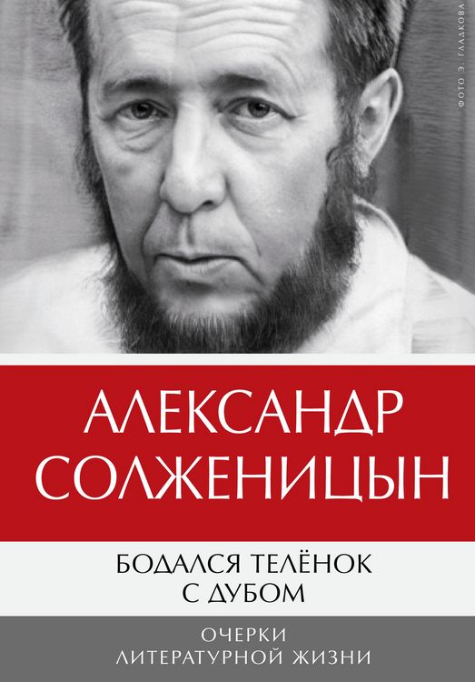Produktbild: Bodalsya telyonok sdubom. Ocherki literaturnoy zhizni