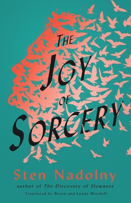 Produktbild: The Joy of Sorcery