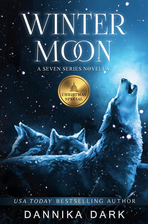 Produktbild: Winter Moon: A Christmas Novella (Seven Series, #8)