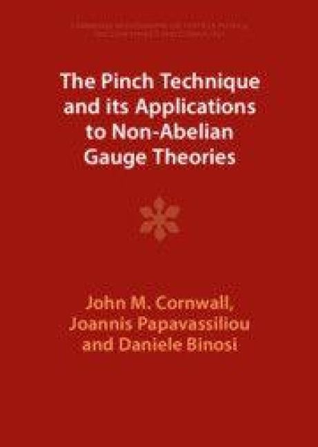 Produktbild: The Pinch Technique and its Applications to Non-Abelian Gauge Theories