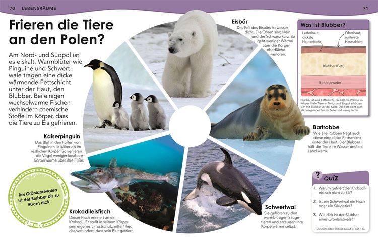Produktbild: Weshalb? Deshalb! Meere