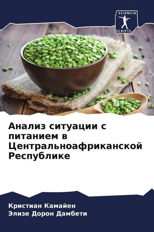 Produktbild: Analiz situacii s pitaniem w Central'noafrikanskoj Respublike
