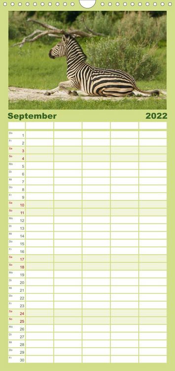 Produktbild: Familienplaner Zebras - Faszination der Wildnis (Wandkalender 2022 , 21 cm x 45 cm, hoch)