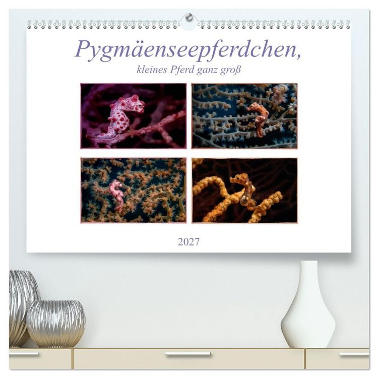 Produktbild: Pygm&auml;enseepferdchen, kleines Pferd ganz gro&szlig; (hochwertiger Premium Wandkalender 2027 DIN A2 quer), Kunstdruck in Hochglanz