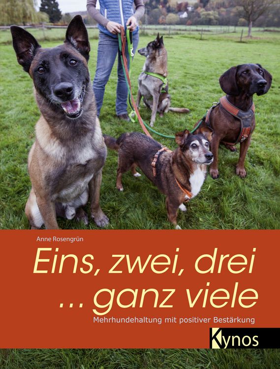 Produktbild: Eins, zwei, drei ... ganz viele