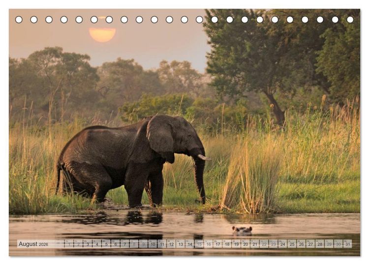 Produktbild: Afrikas Tierwelt Christian Heeb (Tischkalender 2026 DIN A5 quer), CALVENDO Monatskalender