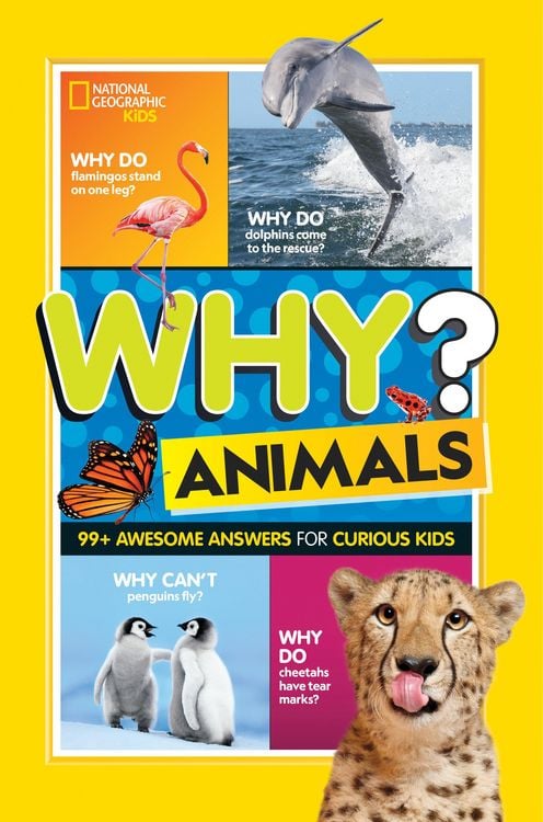 Produktbild: National Geographic Kids Why? Animals
