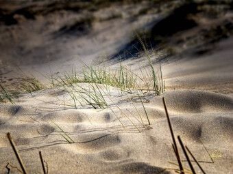 Produktbild: CALVENDO Puzzle Nordsee-D&uuml;nen | 1000 Teile Lege-Gr&ouml;&szlig;e 64x48cm Foto-Puzzle f&uuml;r gl&uuml;ckliche Stunden