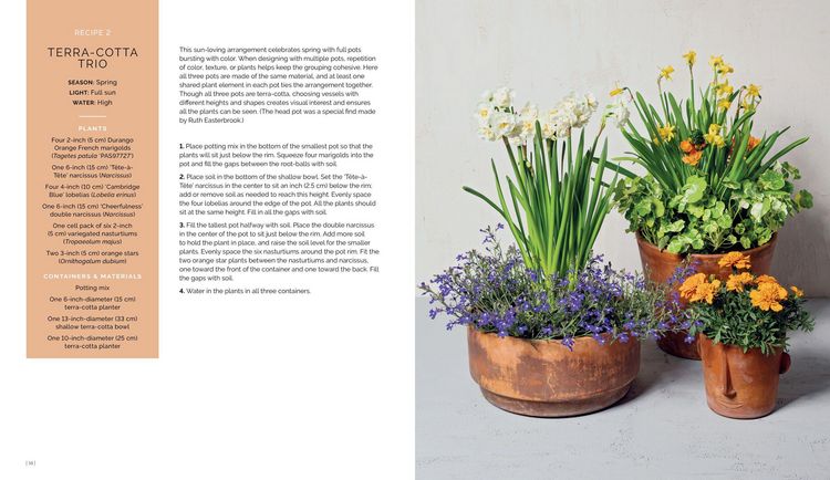 Produktbild: The Container Garden Recipe Book