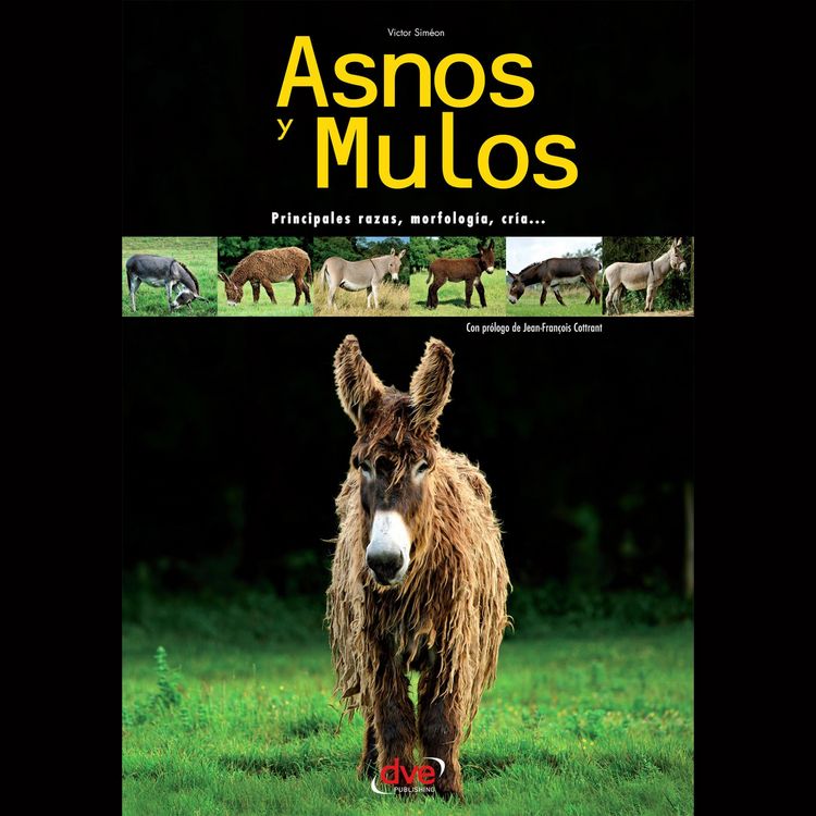 Produktbild: Asnos y mulos