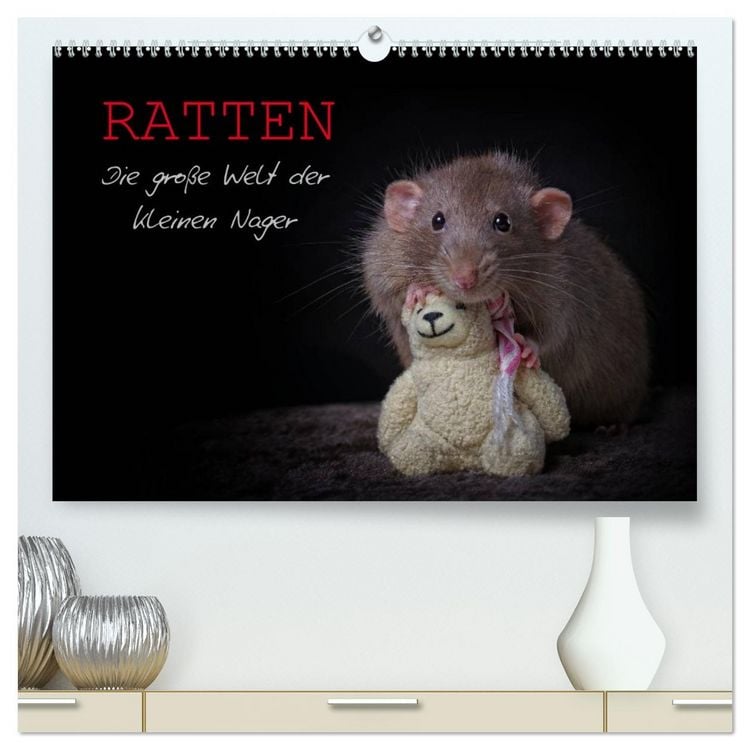 Produktbild: Ratten. Die gro&szlig;e Welt der kleinen Nager (hochwertiger Premium Wandkalender 2026 DIN A2 quer), Kunstdruck in Hochglanz