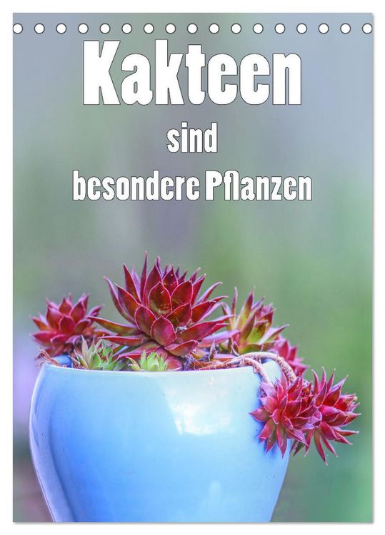 Produktbild: Kakteen sind besondere Pflanzen (Tischkalender 2026 DIN A5 hoch), CALVENDO Monatskalender