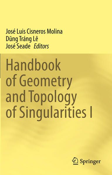 Produktbild: Handbook of Geometry and Topology of Singularities I